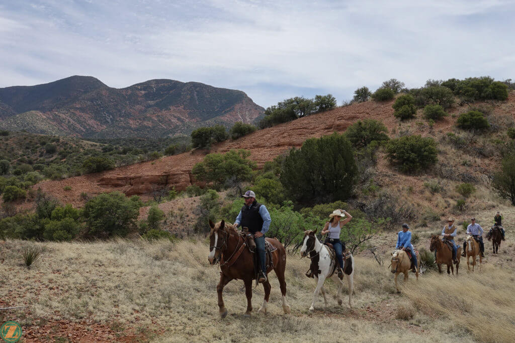 Blog | Circle Z Ranch, Patagonia, AZ